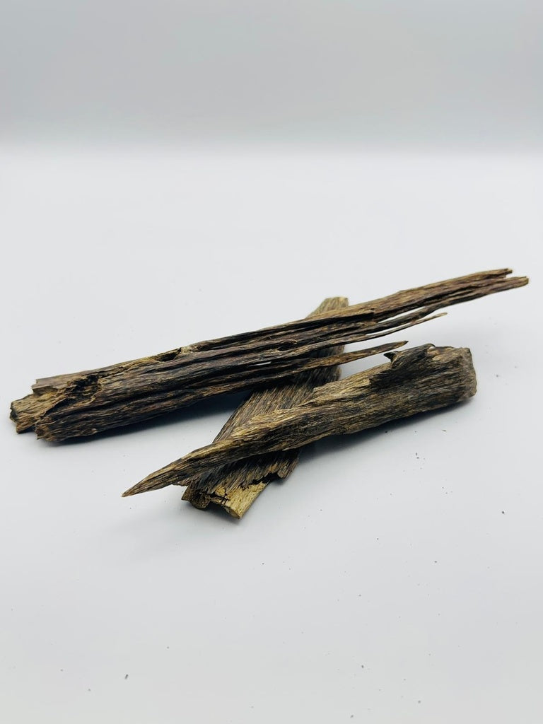 Zura Special Oud