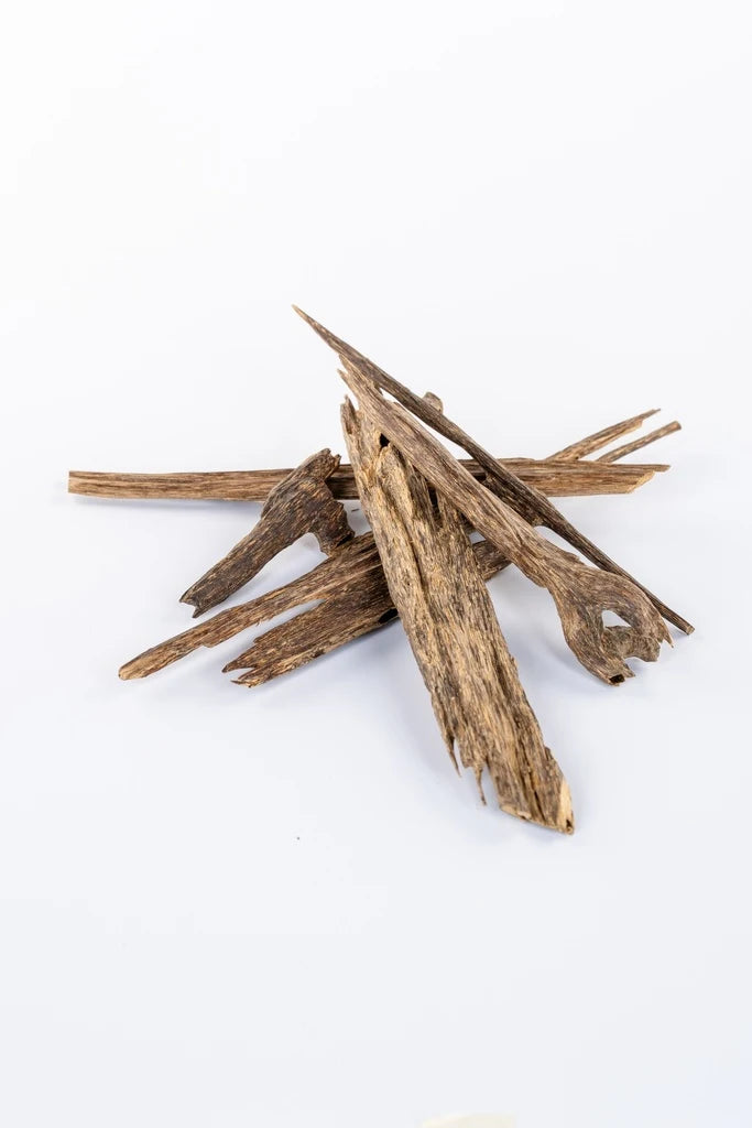 Zura Special Oud